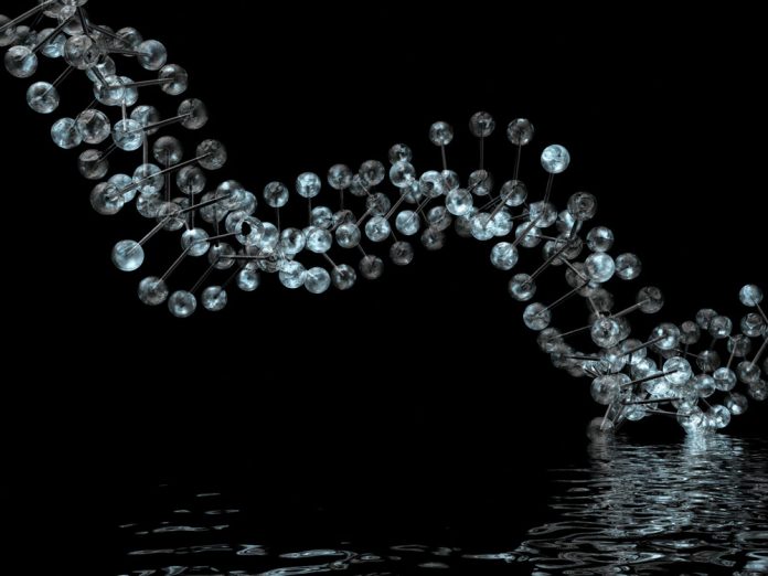 !-Alice-Herden-_-Dreamstime.com