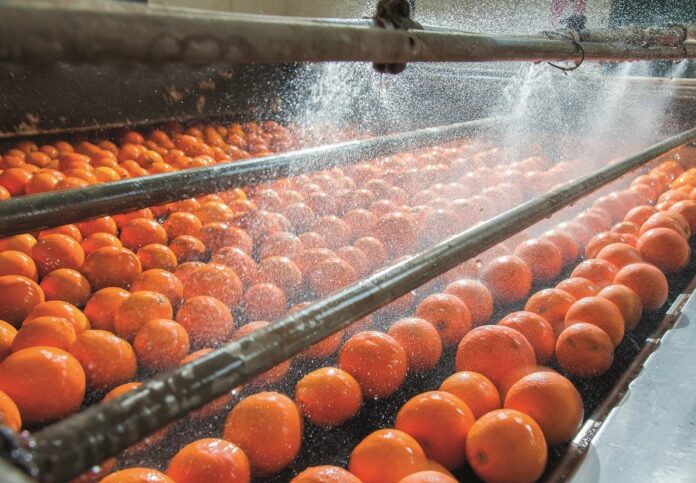 c iStock-984369556 siculodoc