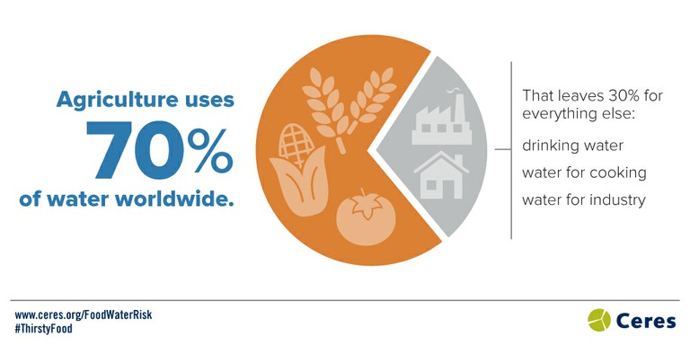 The food sector can play a critical role at protecting limited freshwater resources