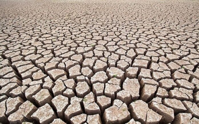 Drought c shutterstock_433196212_freedomnaruk_