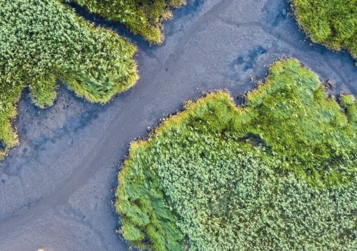 groundwater_c_iStock-1263915974Matt_Gibson