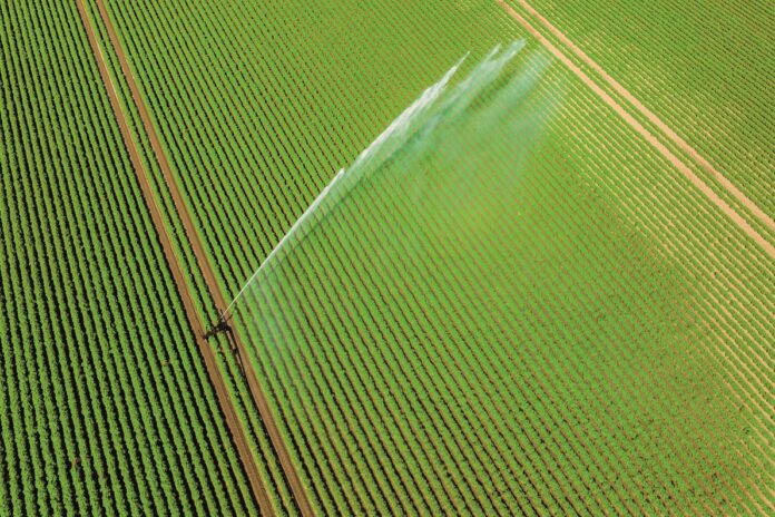 The Source37_p14_iStock