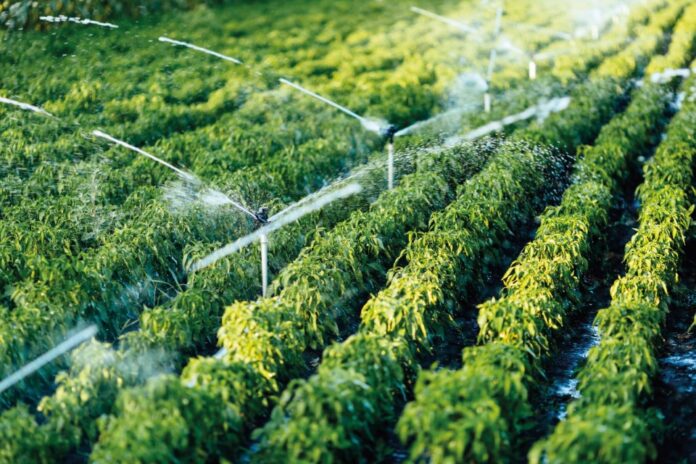 Irrigation system-c-iStock_591811362_nd3000
