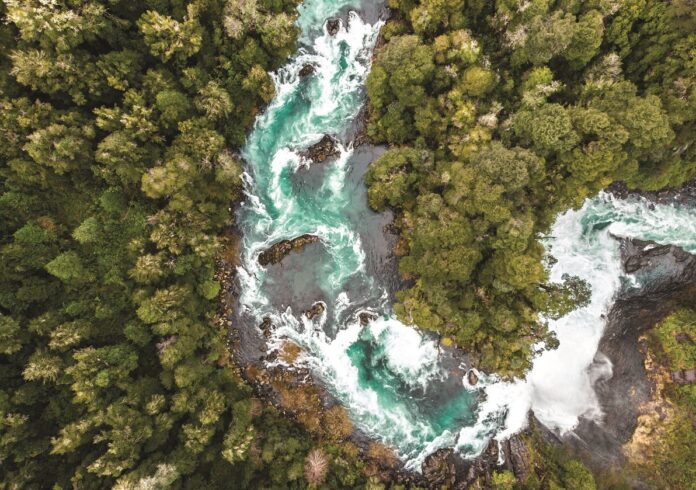 iStock-1182651159 Alexis Gonzalez © iStock / Alexis Gonzalez