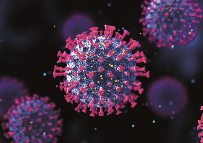 iStock-1308624310 BlackJack3D