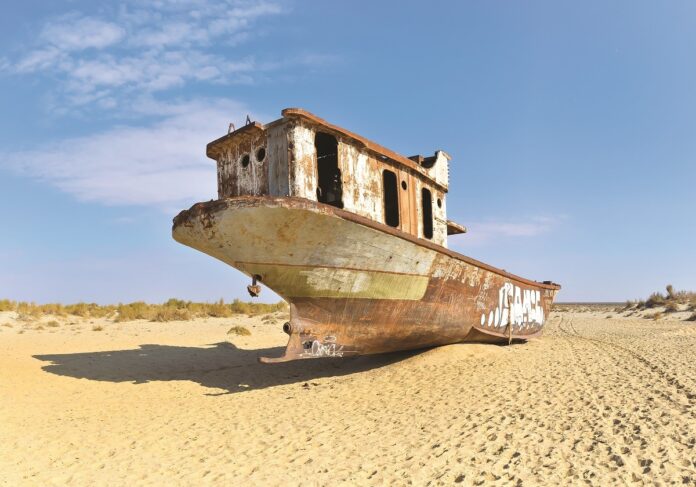 The Aral desert © iStock / alsem