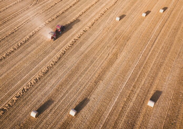 ivan-bandura-lhF8KI8fb84-unsplash