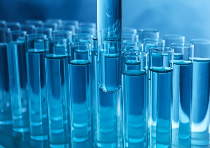 shutterstock_1529090300_New_Africa