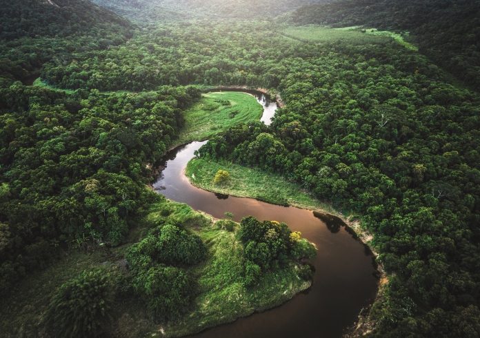 source_apr20_iStock-935746242_FGTrade