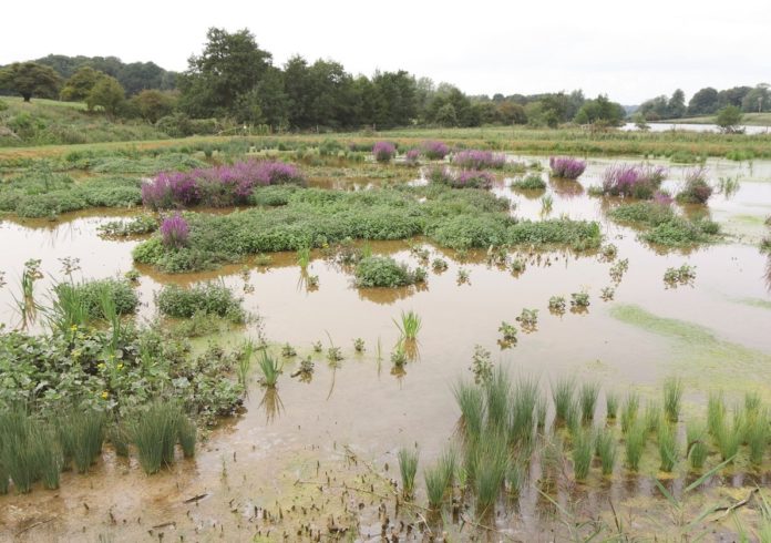 UK_SDG_Ingoldisthorpe_AnglianWater