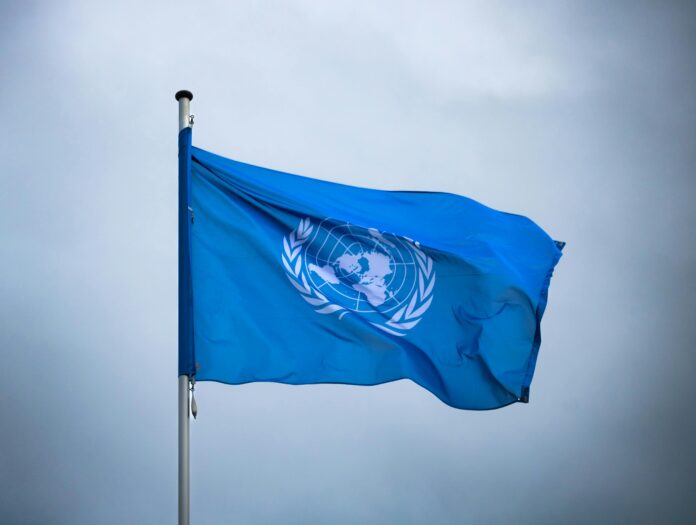 UN Flag c pexels-15405989-njeromin