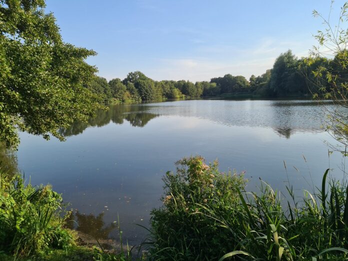 unsplash_dXGLdA1VJ_Y_Dan_Poulton